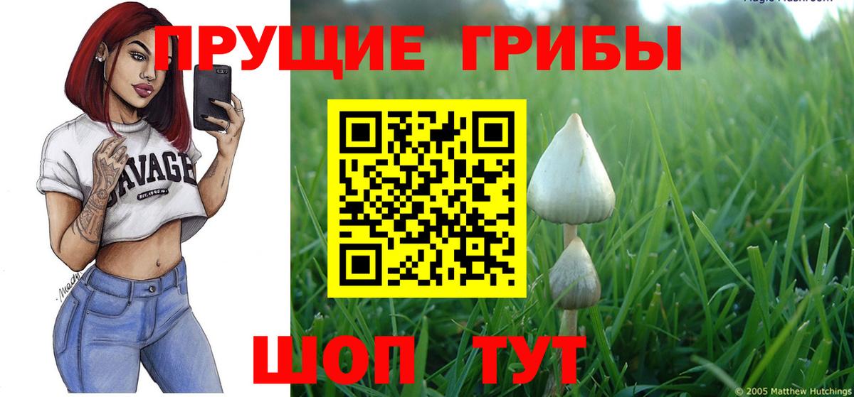 Галлюциногенные грибы MAGIC MUSHROOMS  Вход с VPN  Балахна 