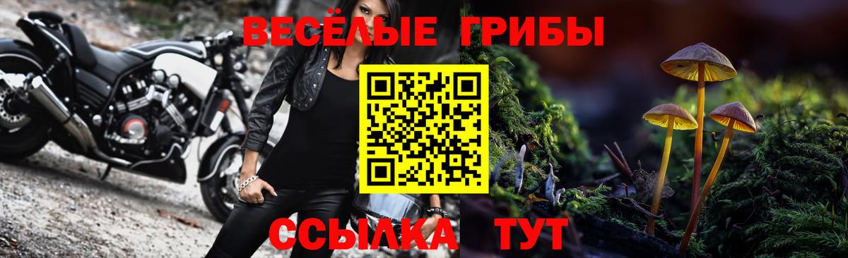 Псилоцибиновые грибы Magic Shrooms Балахна